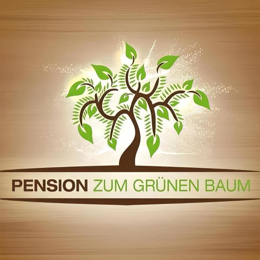 Europa Pension Zum Gruenen Baum Rust Exterior photo