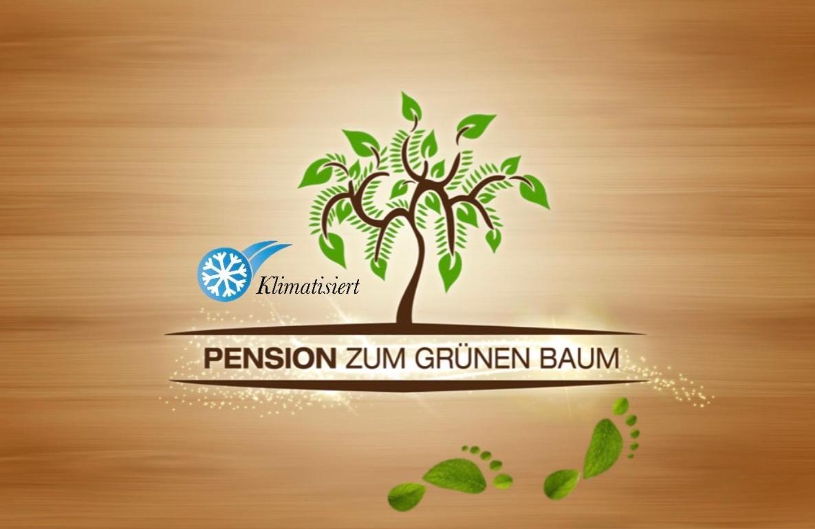 Europa Pension Zum Gruenen Baum Rust Exterior photo